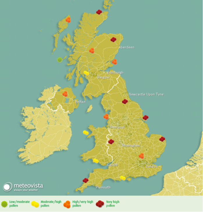 hay-fever-alergie-la-polen-uk