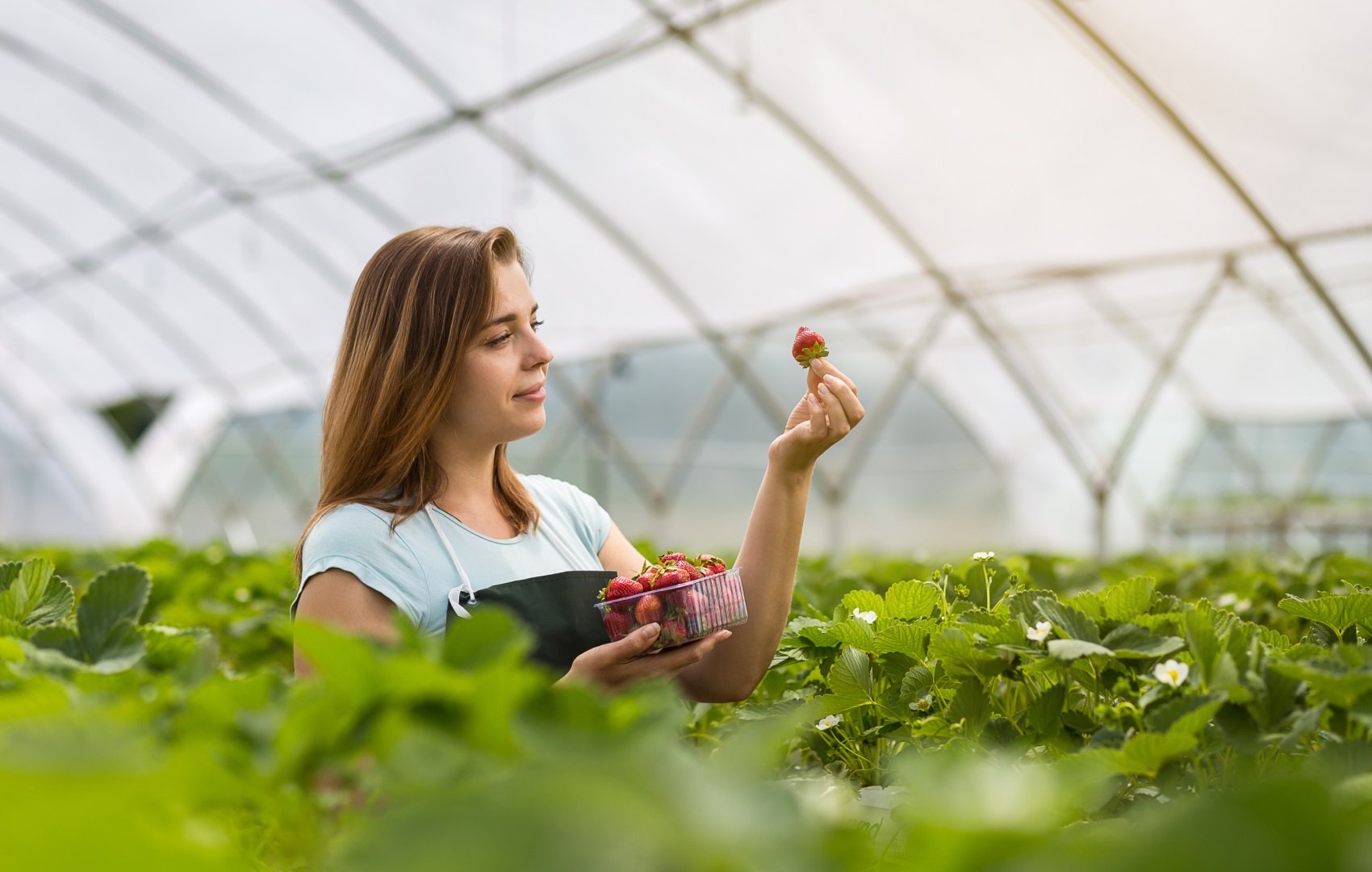 Как поехать на сезонную работу в Великобританию