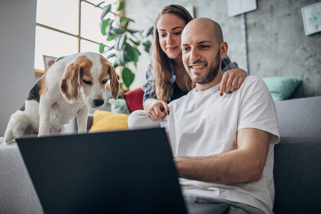 Spoko или Profee: какой лучше?