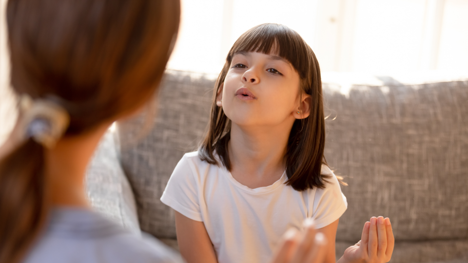 Поддержка украинских учеников в Чехии: важная информация