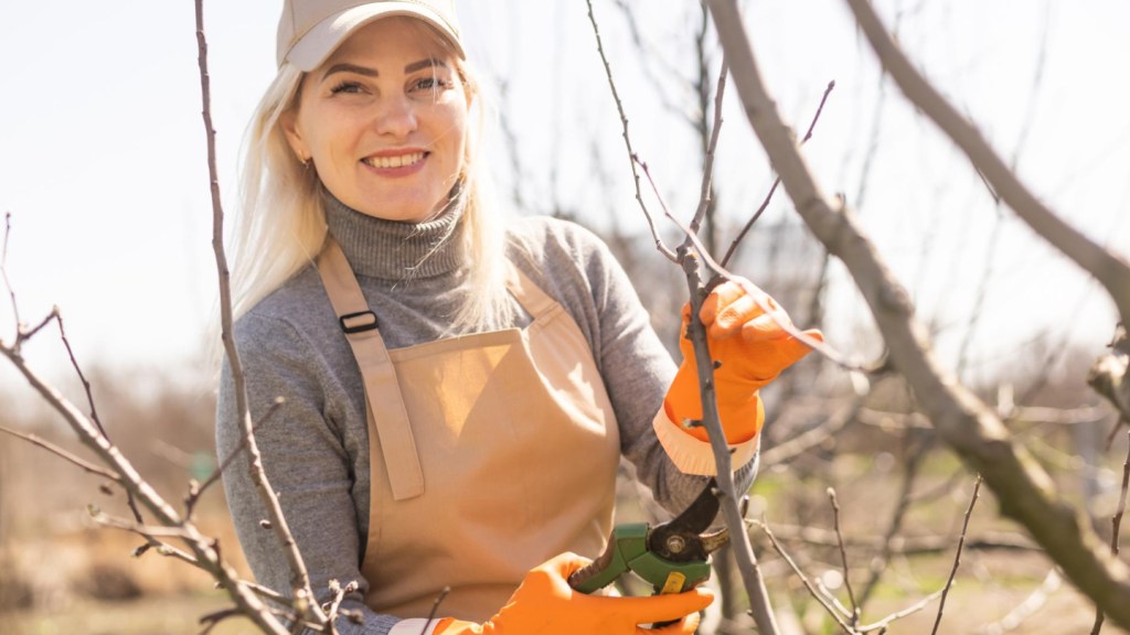 Сезонная работа в Чехии