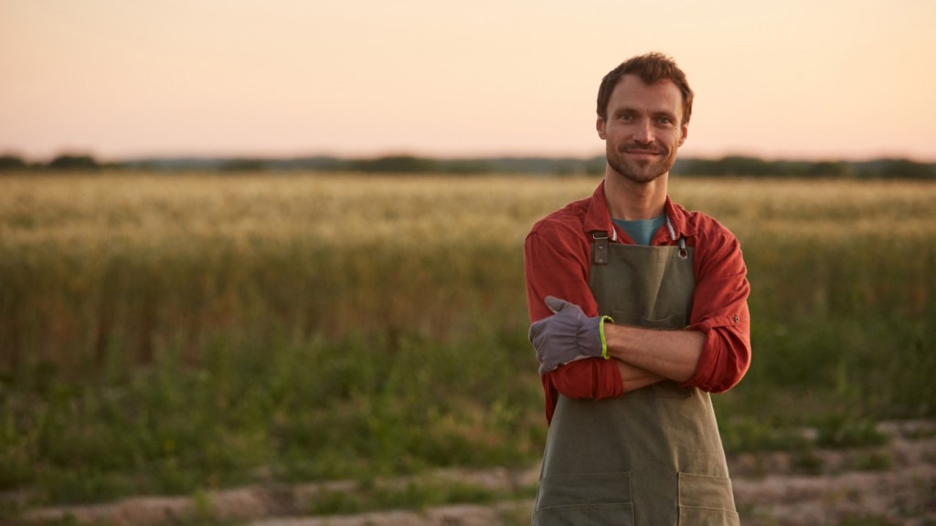 Cезонна робота в Англії: найважливіше