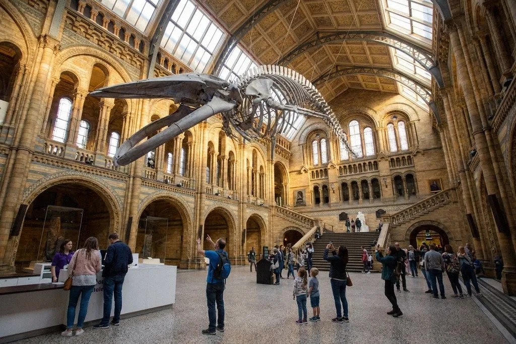 Science museum London TransferGo