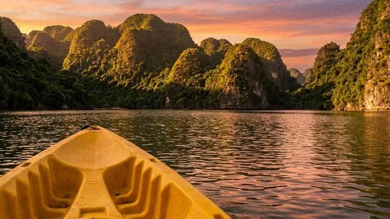 Moneda în Vietnam