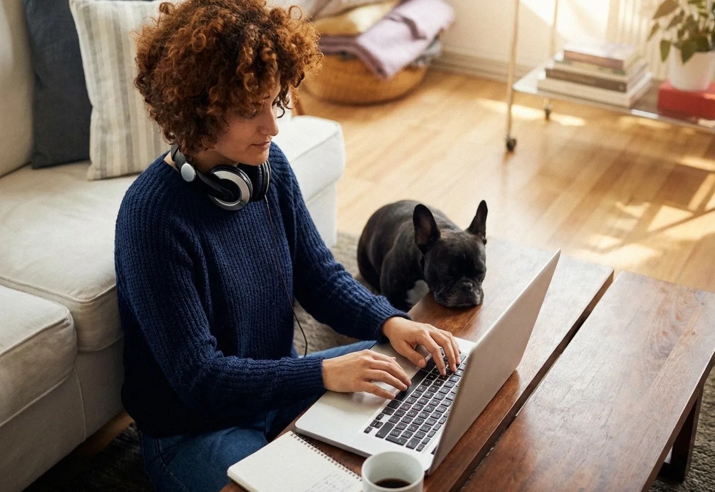 Transferuri de bani pentru antreprenori și freelanceri
