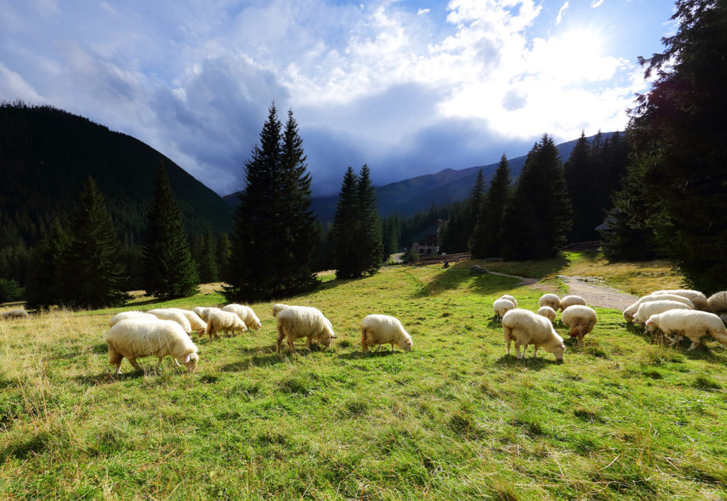 Куда поехать в Польше на выходные: интересные локации